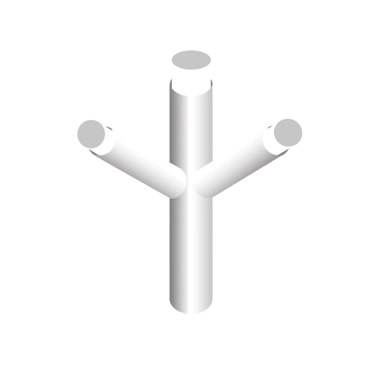 Lateral Bladder - Image 2